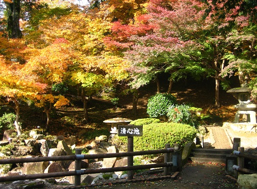 ペットと旅行 グルメ おでかけ情報 中四国 九州 尾関山公園 の紅葉は気軽に楽しめます