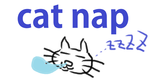 cat nap.png