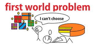 first world problem.png