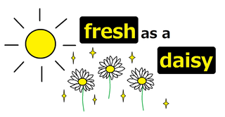 fresh as a daisy.png