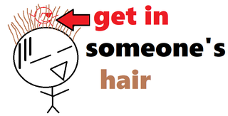get in someone's hair.png