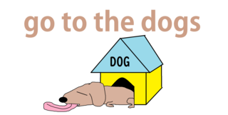 go to the dogs.png