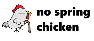 no spring chicken.png
