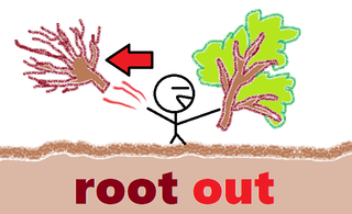 root out.png