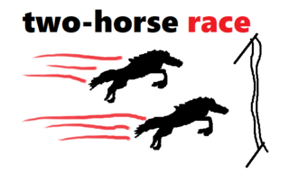 two-horse race.png