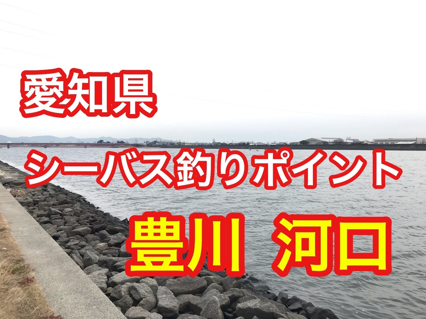 釣りドリーム 豊川 河口 愛知県 シーバス釣りポイント