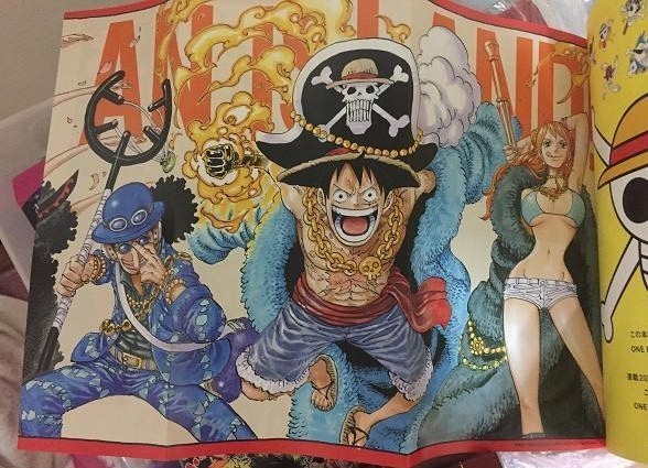 趣味全開の気まぐれ冒険記 One Piece ワンピース 周年記念日 ワンピースマガジン Vol2