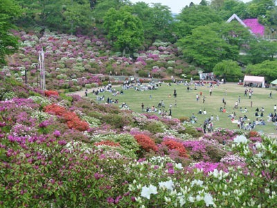 全国をめぐる貧乏 節約 旅行 ビビもったいない 福井県 鯖江市 西山公園のつつじ祭り