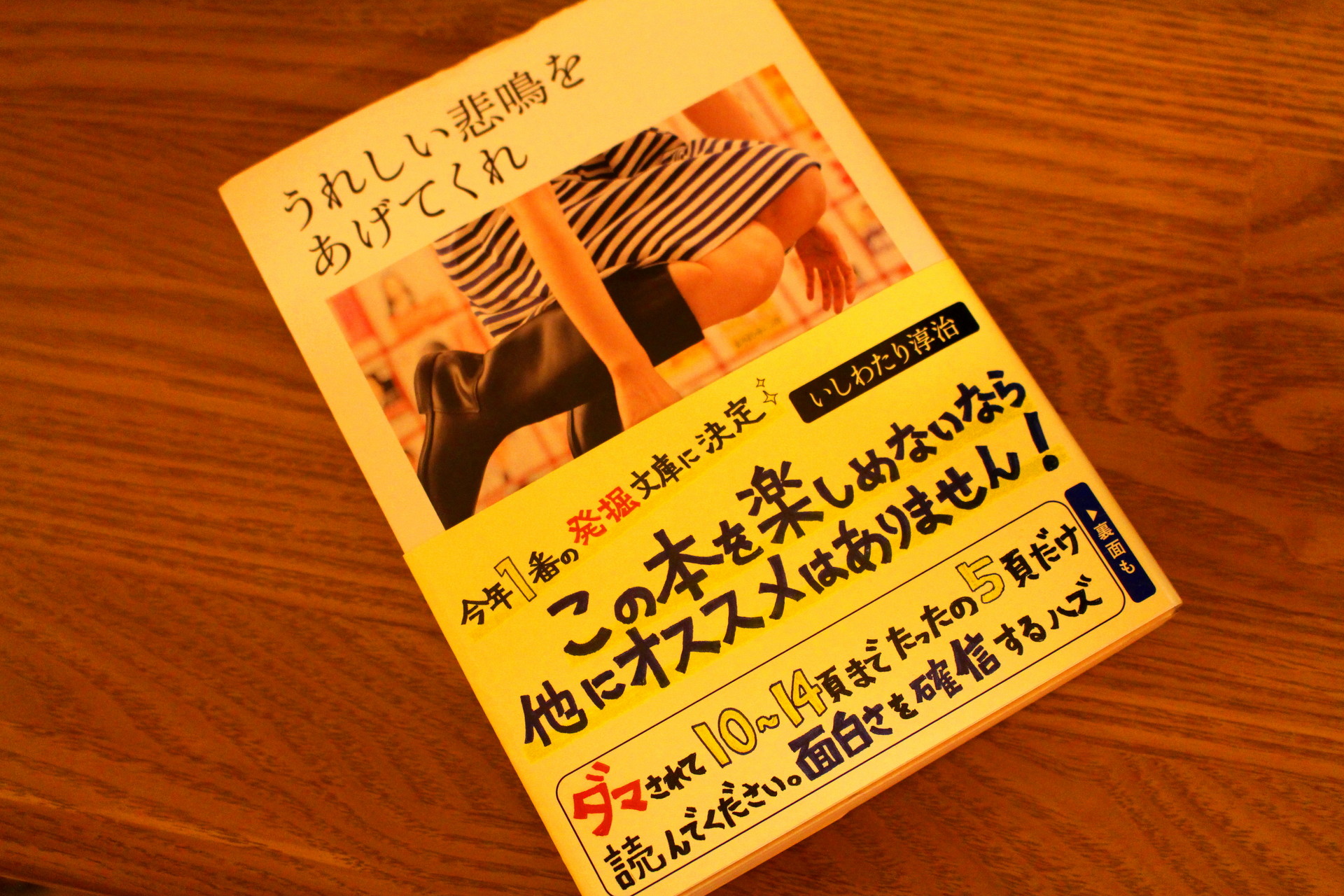 書評 はじめました うれしい悲鳴をあげてくれ