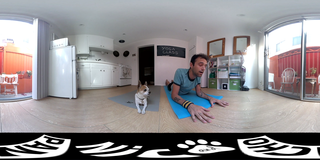CHIHUAHUA DOING YOGA WITH OWNER 360 VR _ Nic and Pancho.avi_000086836.png