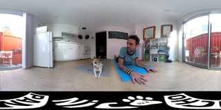 CHIHUAHUA DOING YOGA WITH OWNER 360 VR _ Nic and Pancho.avi_000098222.png