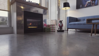 Dog on a Roomba - Holiday Edition!.avi_000002355.png