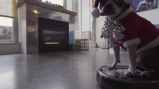 Dog on a Roomba - Holiday Edition!.avi_000013316.png
