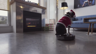 Dog on a Roomba - Holiday Edition!.avi_000020988.png