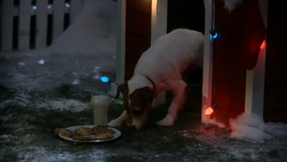 Jack Russell Christmas.avi_000047219.png