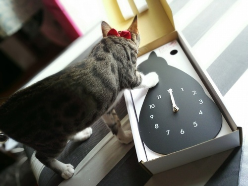 ニトリ 猫の振り子時計が超かわいい お値段以上だったよ Fwf こむぎまんじゅう Com
