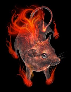 fire mouse.jpg