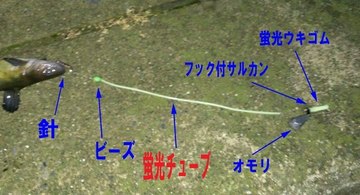 魚釣り大好き うなぎも釣るぜ の会 うなぎ釣りの仕掛けを揃えよう 初心者でもうなぎは釣れる エサ ポイントは大事です