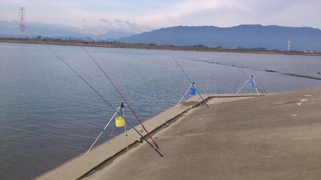 魚釣り大好き うなぎも釣るぜ の会 立田大橋下流へスズキ セイゴ釣りに行ってみた 仕掛けはぶっこみ エサは極太青虫ほか