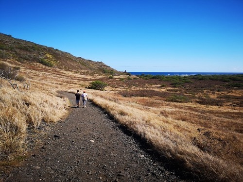 Kaiwi Shoreline Trail(ỹCX).jpg
