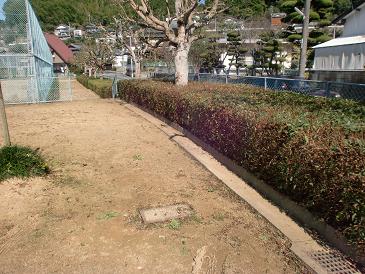 植木屋 Gardensora 剪定 植木屋高知 カイズカイブキ剪定 ヒラドツツジ剪定 松剪定