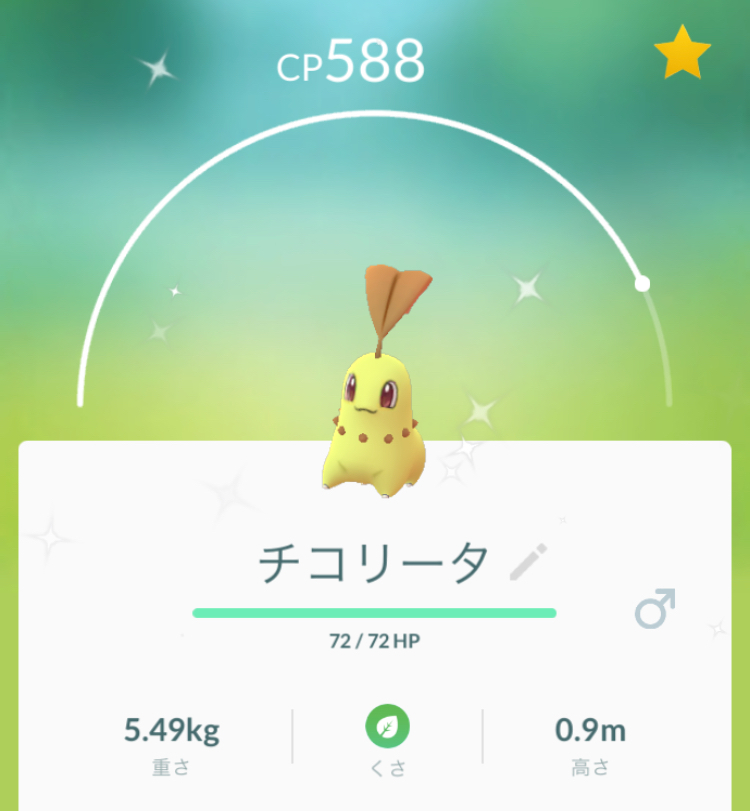 ポケモンgo 面白いジム おもしろ画像 謎のポケモン メタモンになるナットポケモン 正体は