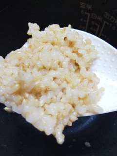 freshly cooked brown rice.jpg