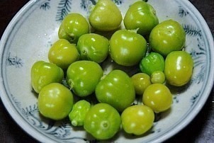 八王子のミニ家庭菜園つれづれ日記 食用ほおずき ミニトマトはいかが 食用ほおずき の種類と栽培方法など