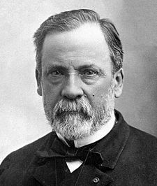 Louis_Pasteur.jpg