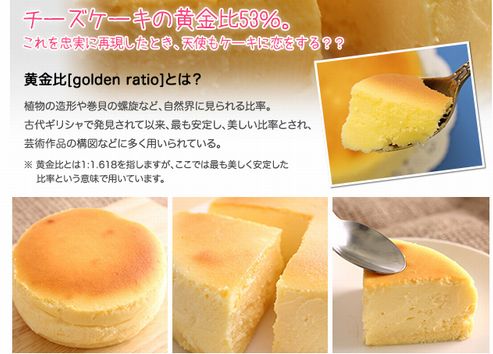 綺麗で便利で心浮き立つ その他なにか チーズケーキ 比率53