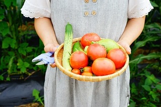 vegetable-garden-1981336_640.jpg