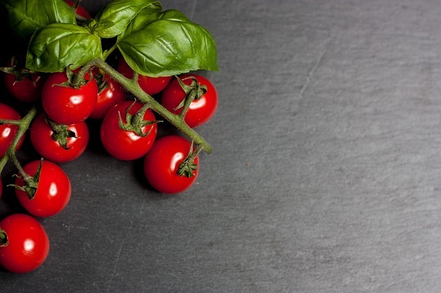 ずぼらさんの簡単家庭菜園 家庭菜園で収穫したトマトが酸っぱい理由と甘くする方法