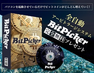 Bit Picker 1 (2).jpg