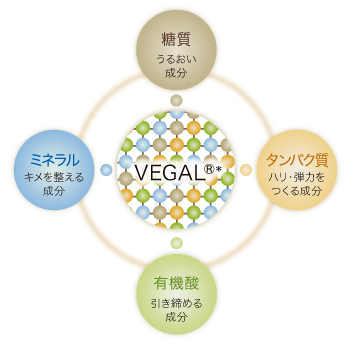 vegal-image.png