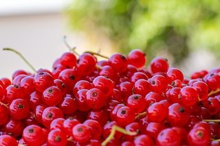 currants-5094281_640.jpg