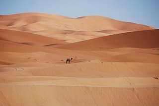 desert-1916882__340.jpg