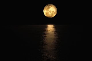 moonlight-4781350_1280.jpg