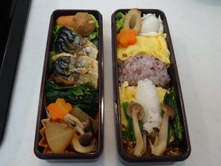 kinoko-bentou2.jpg