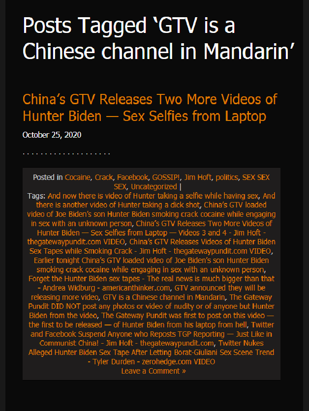AAAXXXPosts Tagged eGTV is a Chinese channel in Mandarinf@Chinafs GTV Releases Two More Videos of Hunter Biden | Sex Selfies from Laptop@October 25, 2020@@.png