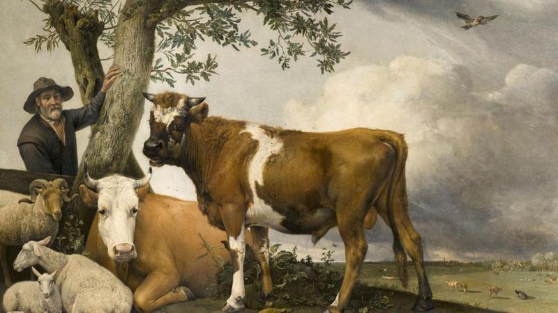 p021xgc5 The Bull, Paulus Potter, 1647 (Mauritshuis, The Hague).jpg