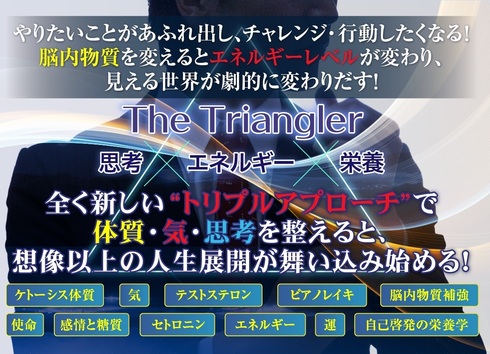 The Triangler@LP-2.jpg