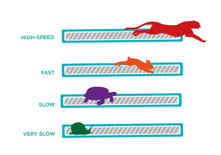speed-slow.jpg