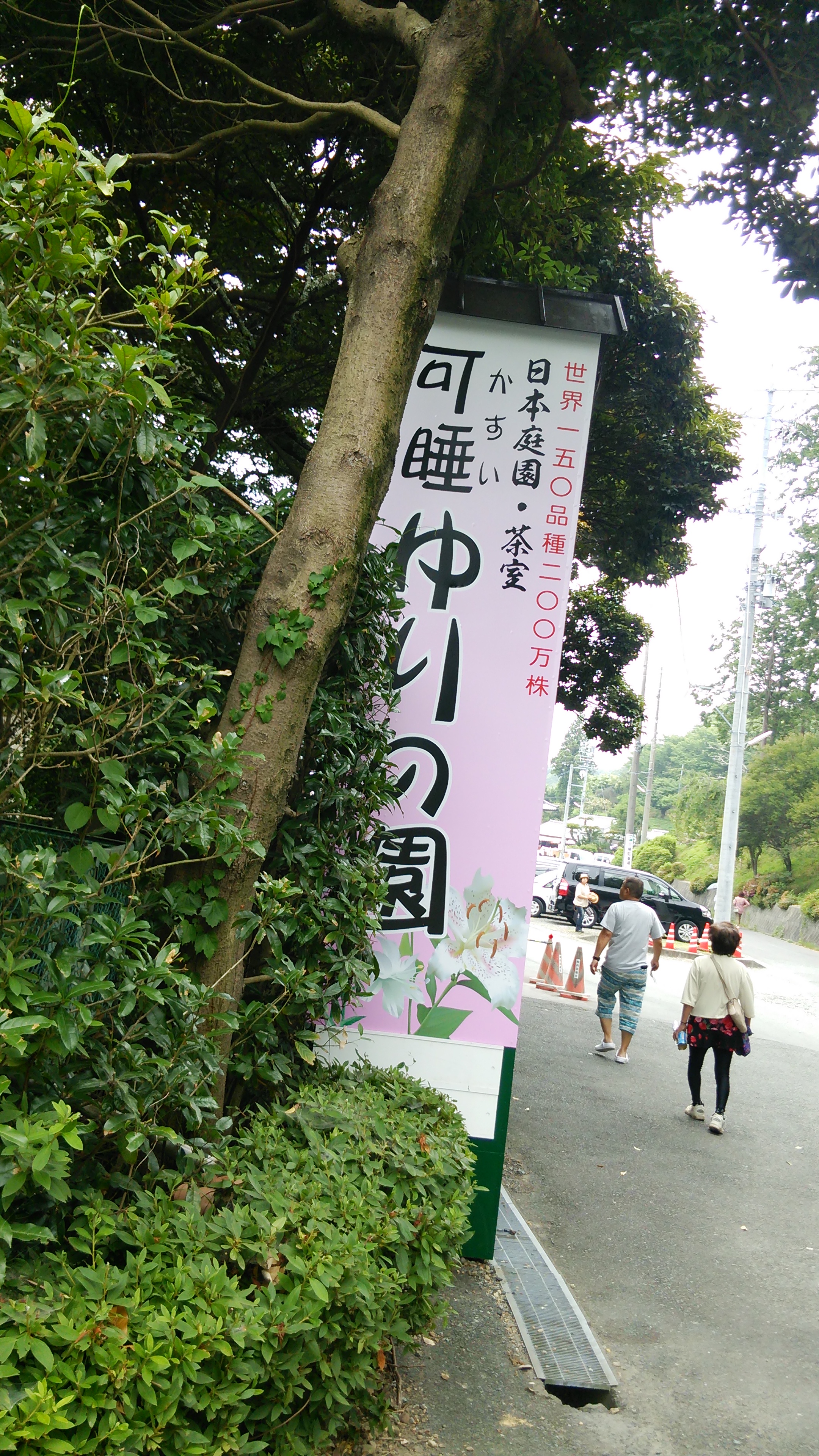 愛知県と東海地方をこよなく愛するページ 静岡のお出かけスポット 可睡ゆり園 静岡県