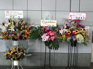 Flower160703A.JPG