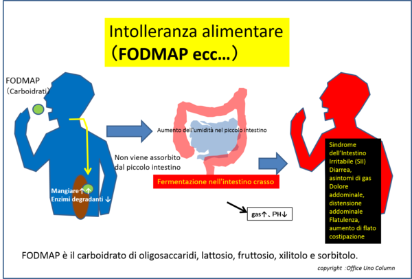 fodmapƃAM[P.png