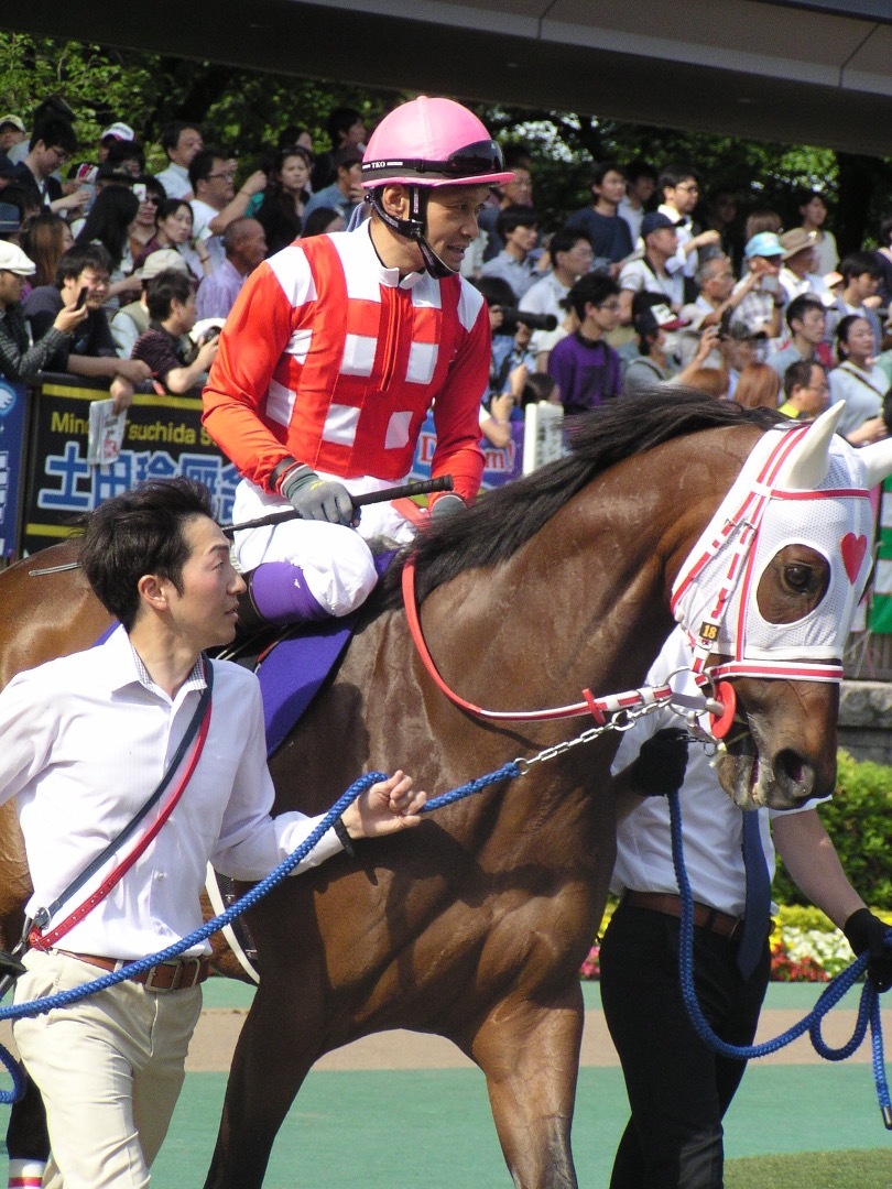 基本競馬ですが ゆるく適当に 15ヴィクトリアマイルパドック その他