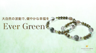 evergreen_slide_kari02.jpg