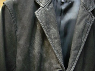 moldy-leather-jacket.png