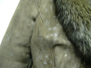 moldy-mouton-coat.png