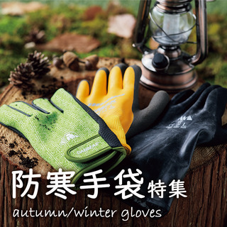 sq_aw_gloves.jpg